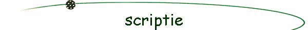 scriptie