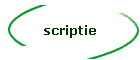 scriptie