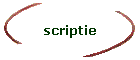 scriptie