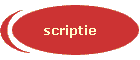 scriptie